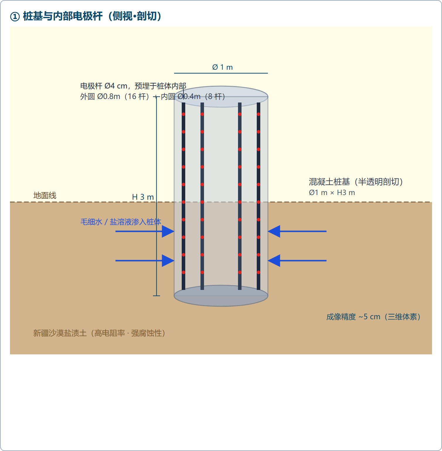 桩基与内部电极杆布置(侧视·剖切)